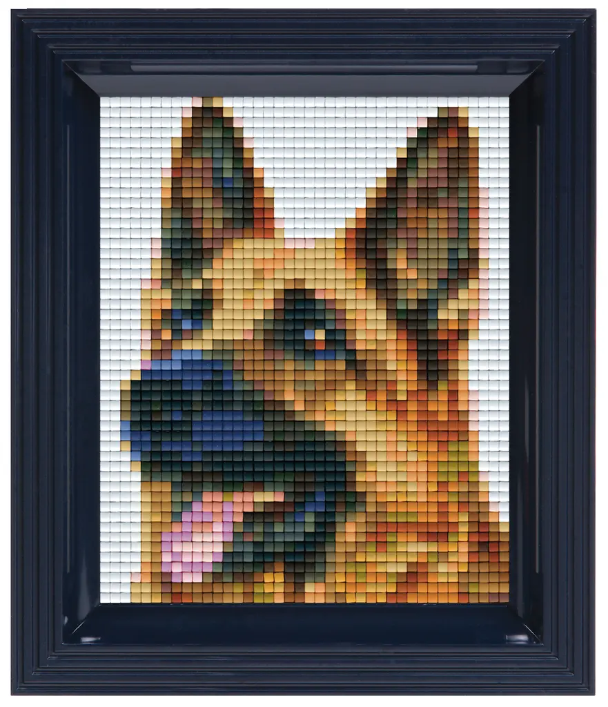 Pixel Classic Gift Set - Dog 31313