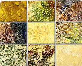 Bali Palettes Naturals