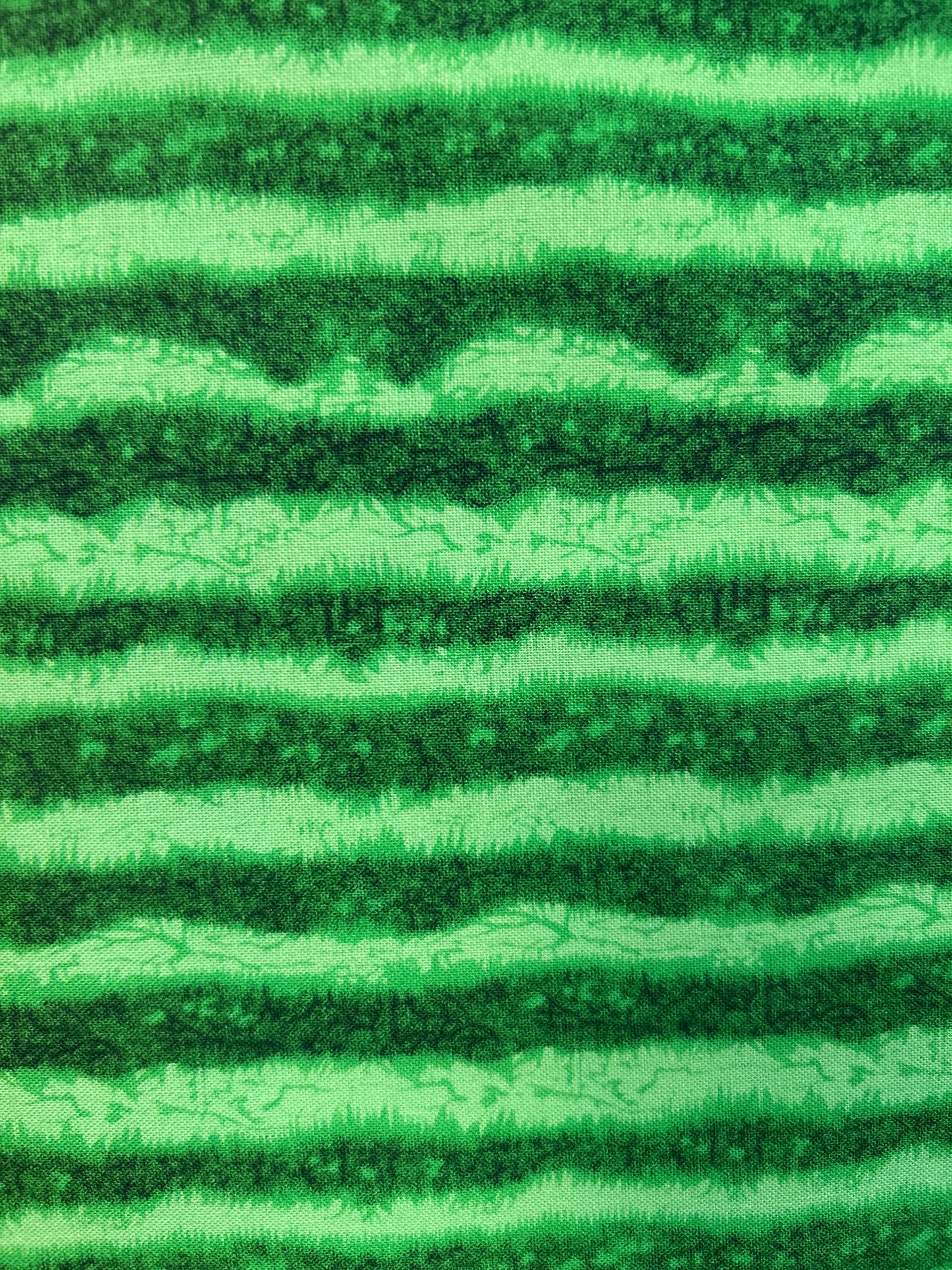 Watermelon Rind - cd1138