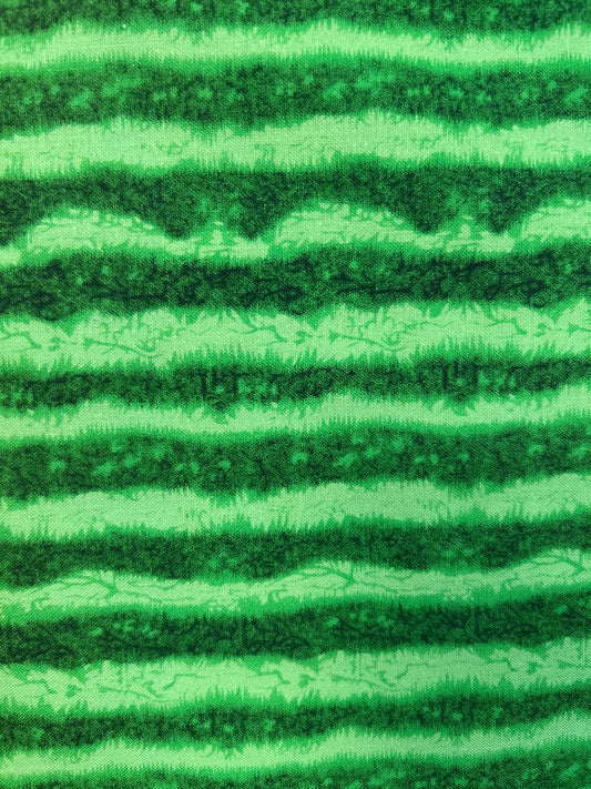 Watermelon Rind - cd1138