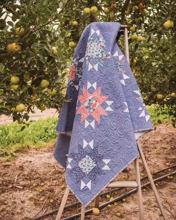 More Playful Precut Quilts - 11536