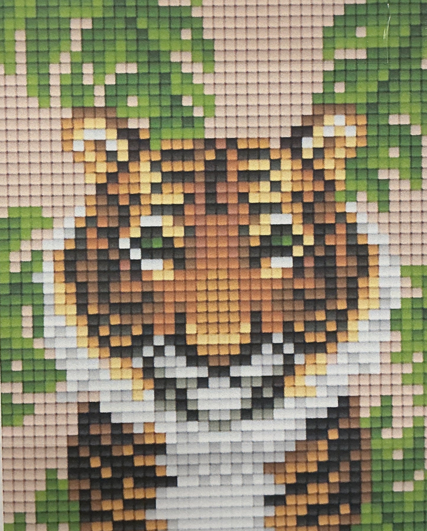 Pixel Classic Giftset Tiger - SST1-170