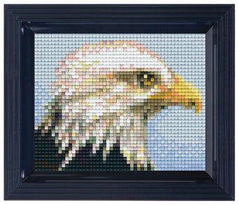 Pixel Classic Gift Set - Eagle 31306