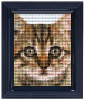 Classic Giftset with Frame-Kitten