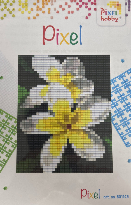 Pixel Classic Giftset - White Frangipani SST1-220