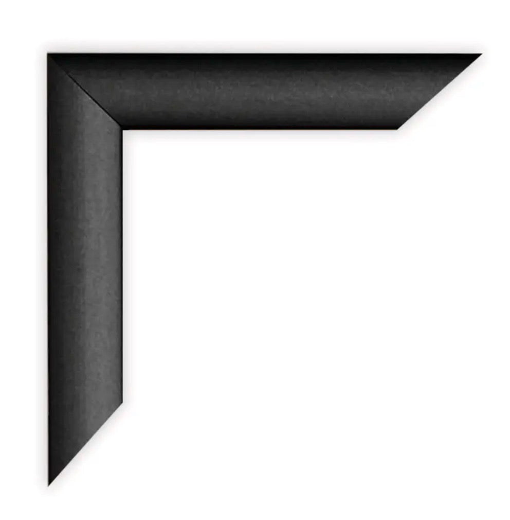 Aluminum Frame 4x2P & 2x4L Black