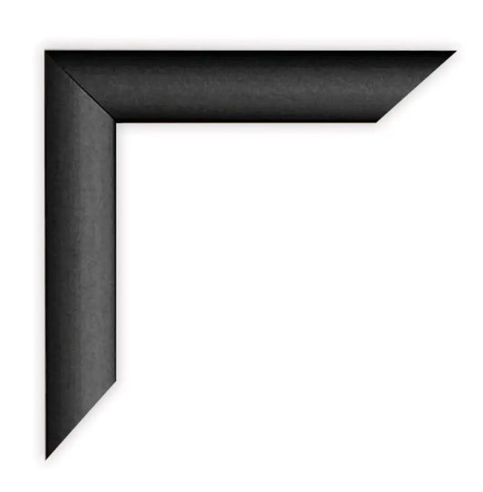 Aluminum Frame 4x2P & 2x4L Black