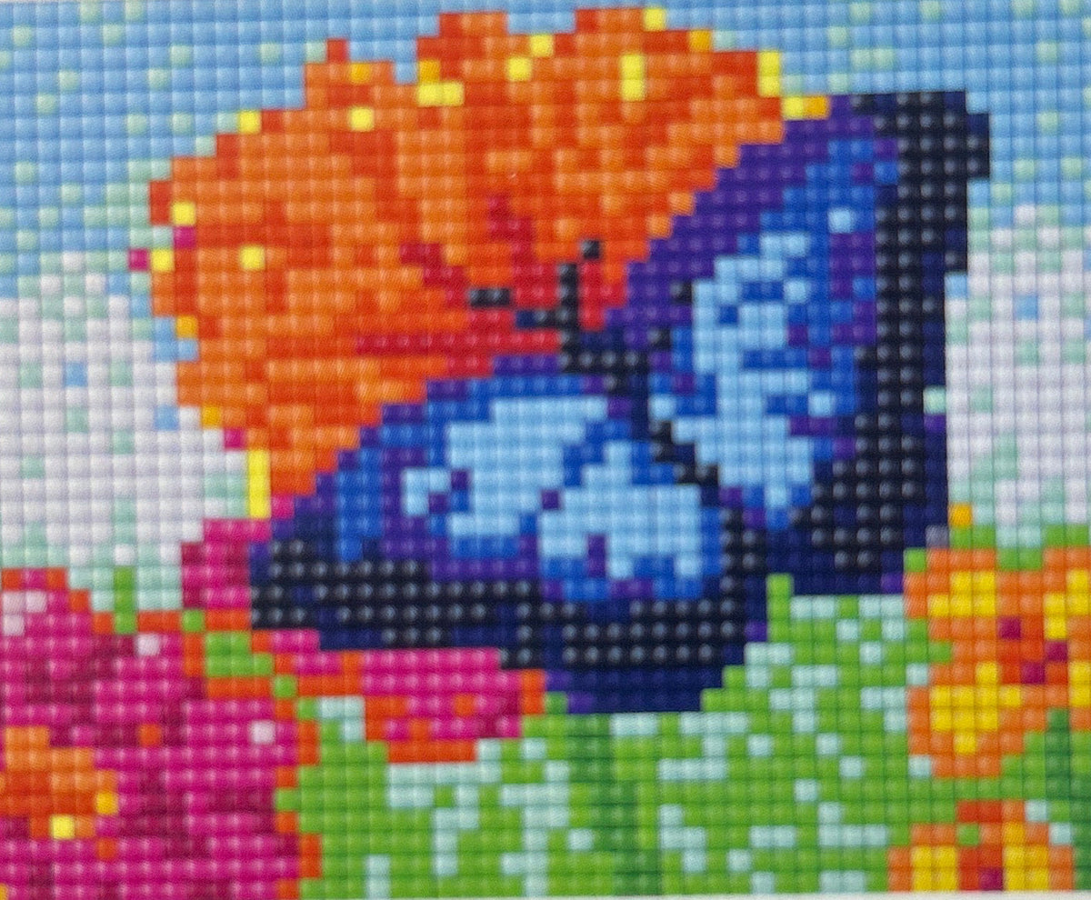 Pixel XL 4BP - Blue Butterfly - 28015