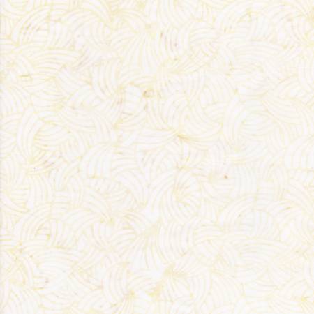 Tonga Fans - Shell - B2022