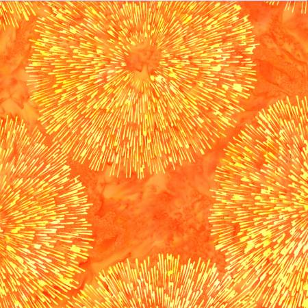 Batik Burst - 2595-359