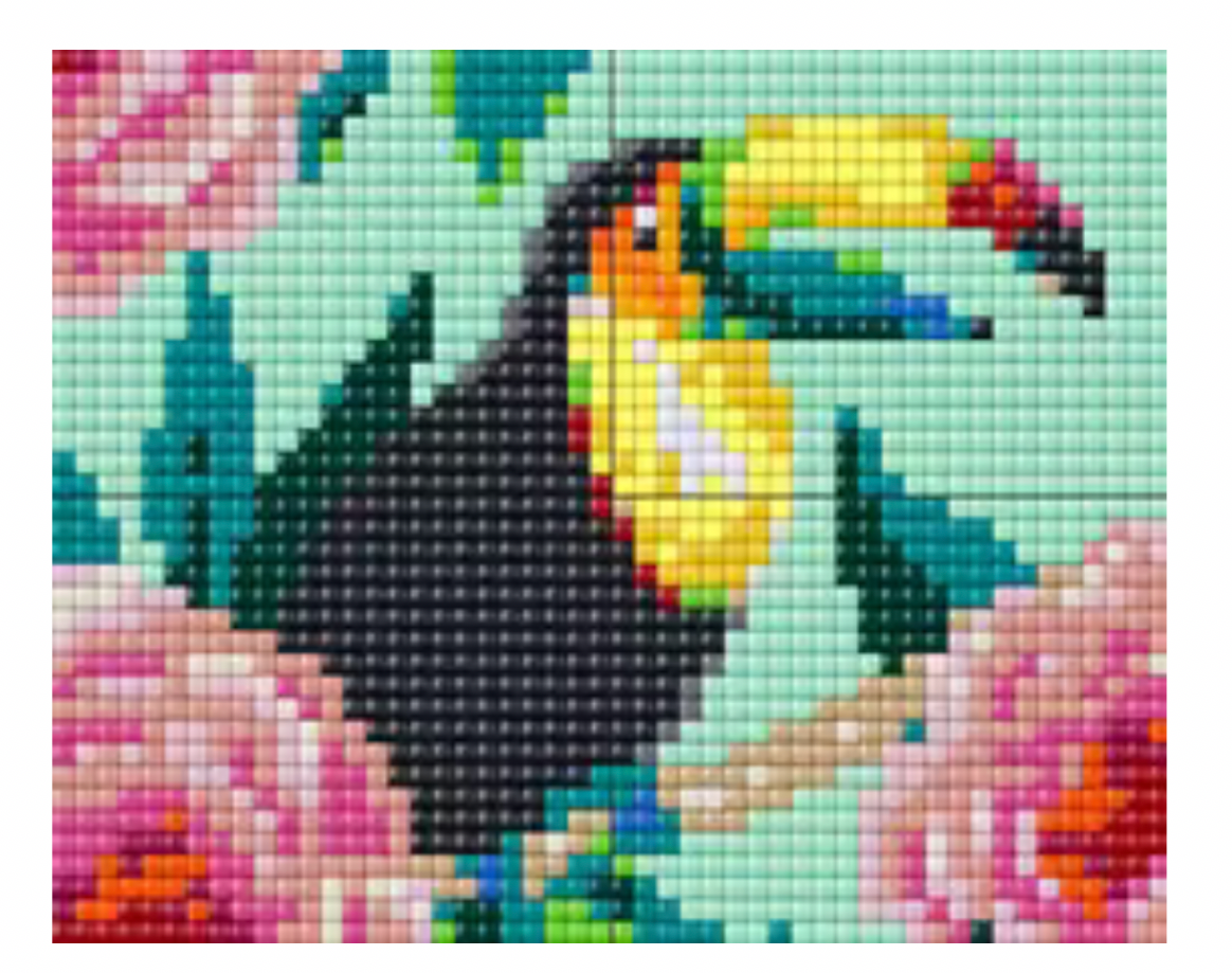 Pixel XL 4BP - Toucan 2 28014