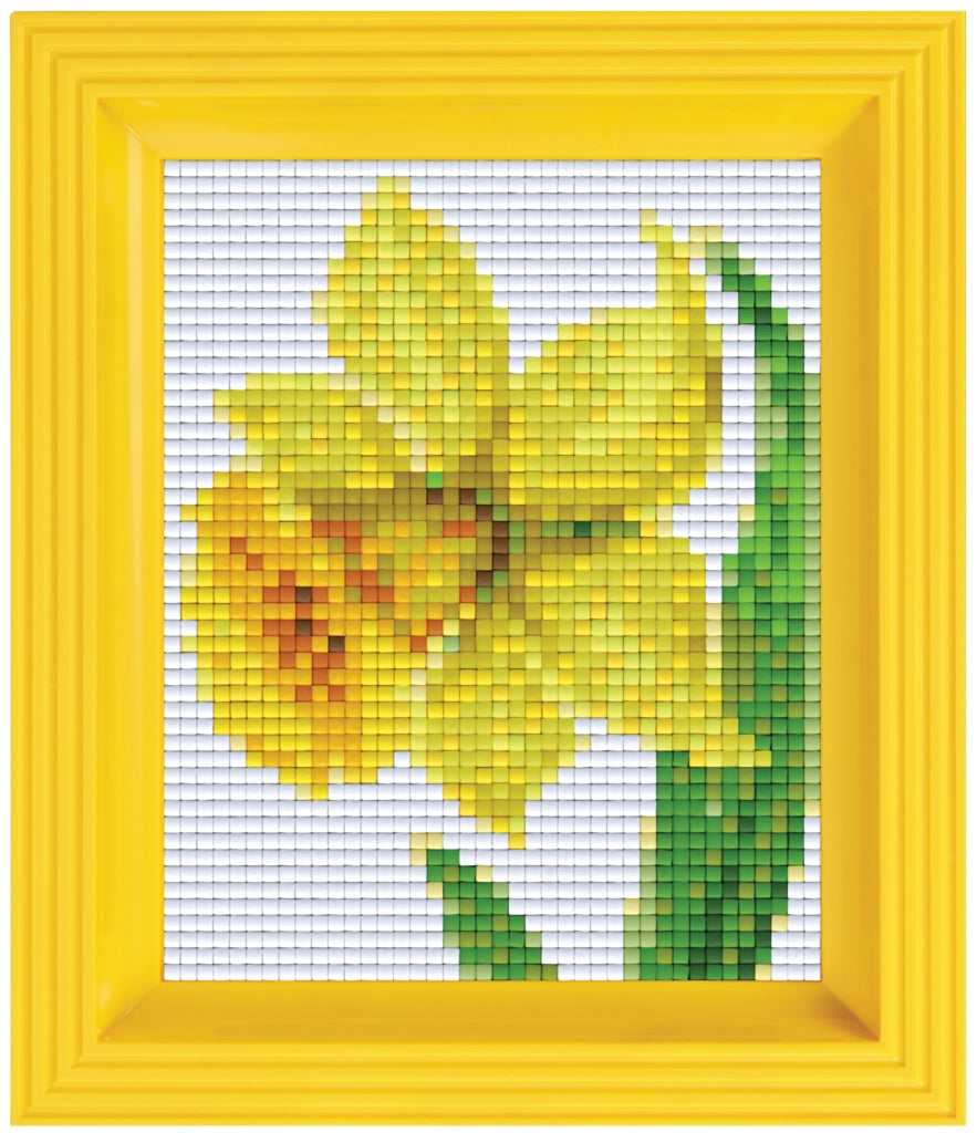 Pixel Classic Gift Set - Daffodil 31281