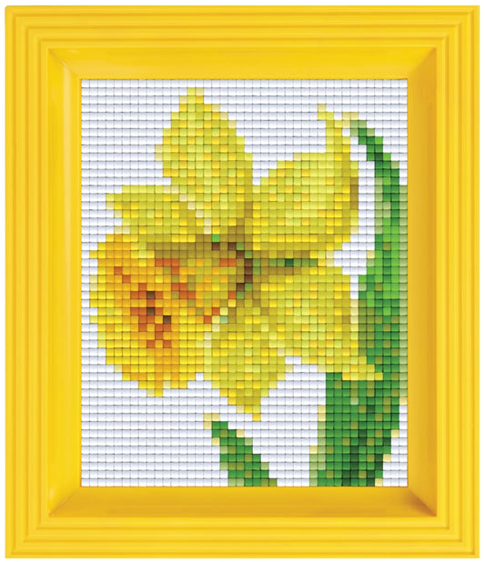 Pixel Classic Gift Set - Daffodil 31281